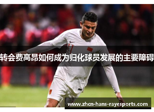 转会费高昂如何成为归化球员发展的主要障碍 转会费高昂如何成为归化球员发展的主要障碍
