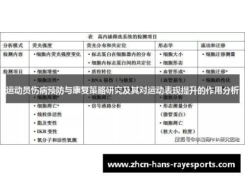 运动员伤病预防与康复策略研究及其对运动表现提升的作用分析