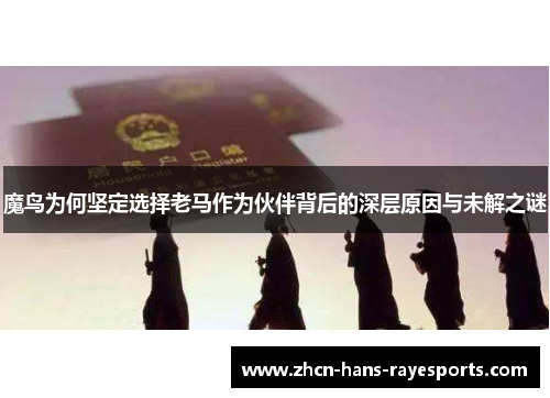 魔鸟为何坚定选择老马作为伙伴背后的深层原因与未解之谜 魔鸟为何坚定选择老马作为伙伴背后的深层原因与未解之谜